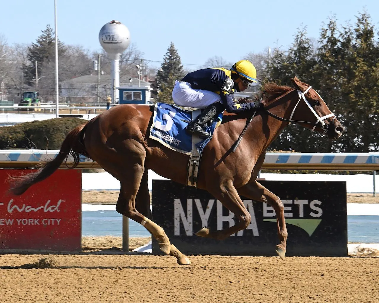 Paradise wins the Busher Stakes at Aqueudct.
