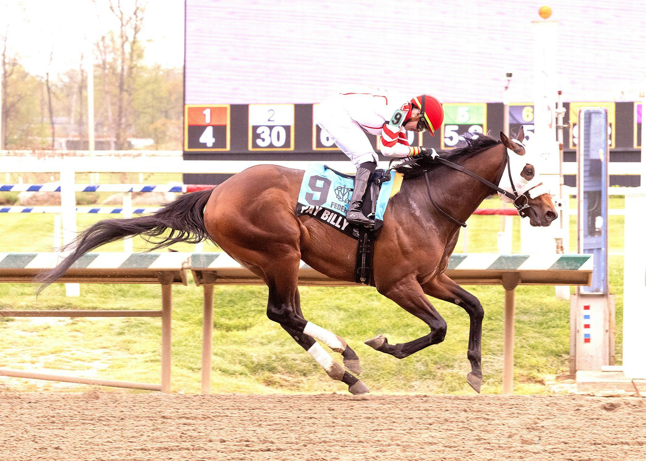 Pay Billy wins the Federico Tesio