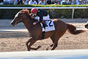 Pentathlon wins the Army Mule at Gulfstream Park. 