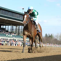 Percy's Bar wins the Ashland Stakes at Keeneland.