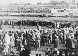 True Crime in Horse Racing: Phar Lap | TwinSpires