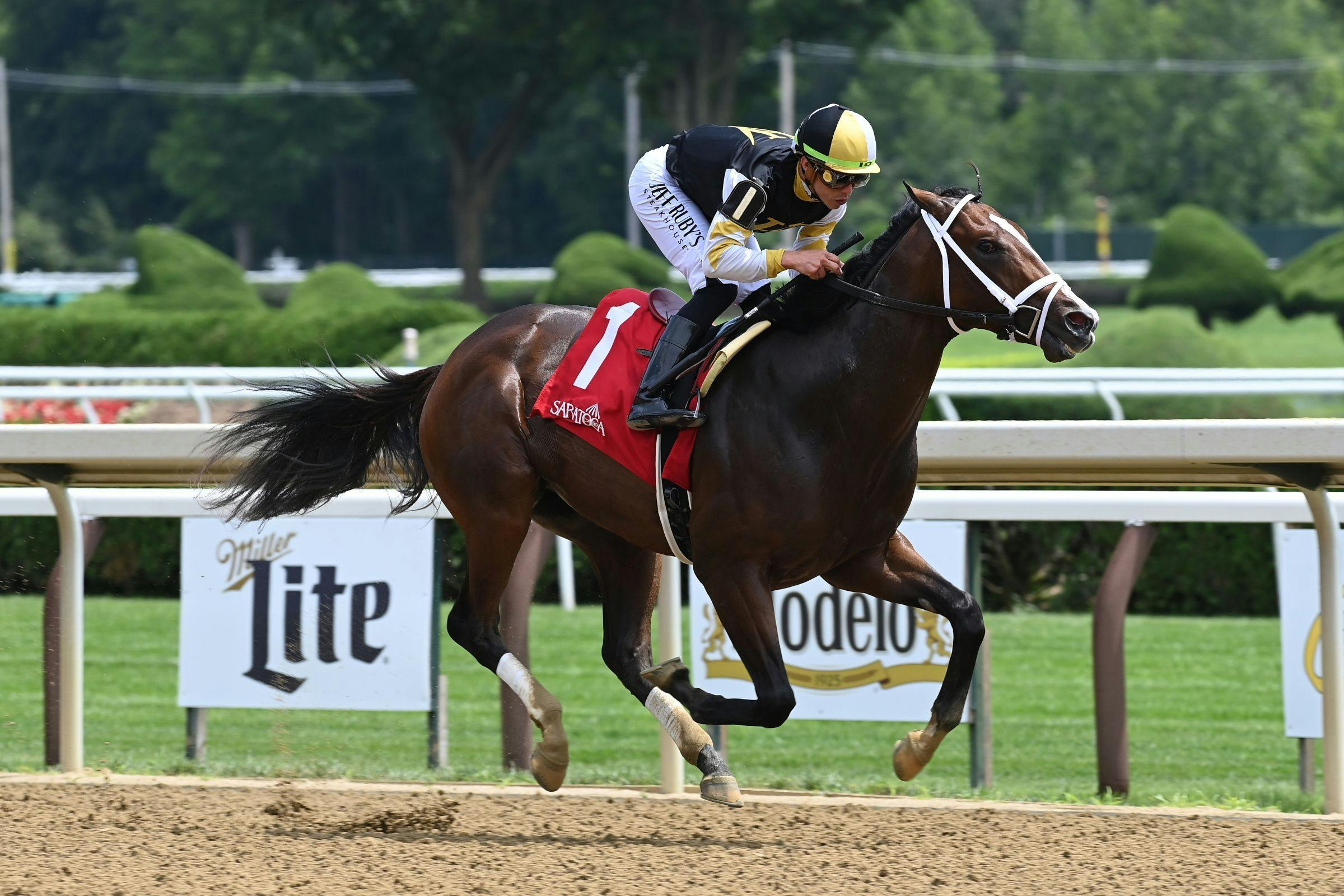 The big bets: $110,000 wager on Group 1 runner