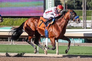 Potente winning his debut at Santa Anita