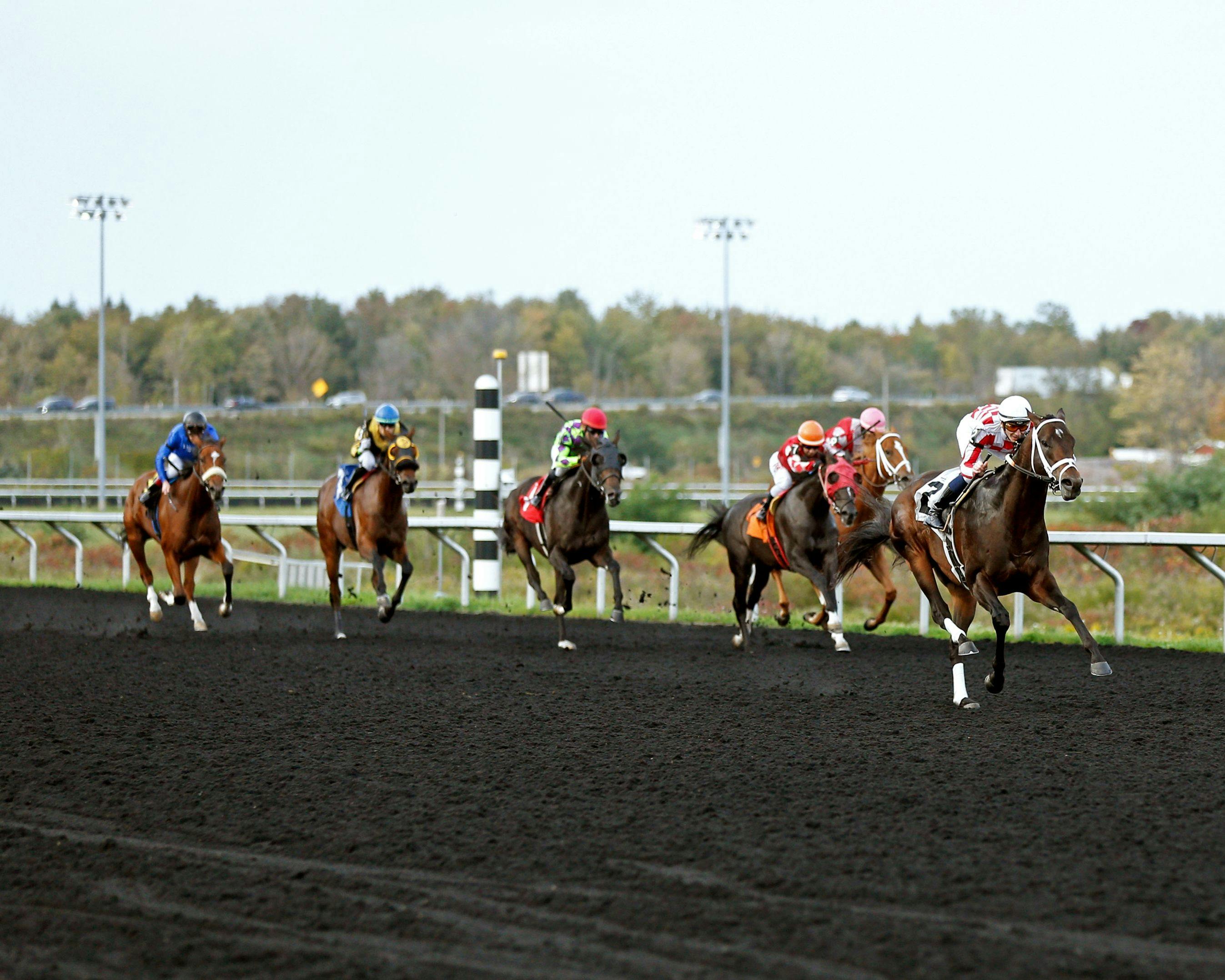 Down the stretch at Presque Isle Downs