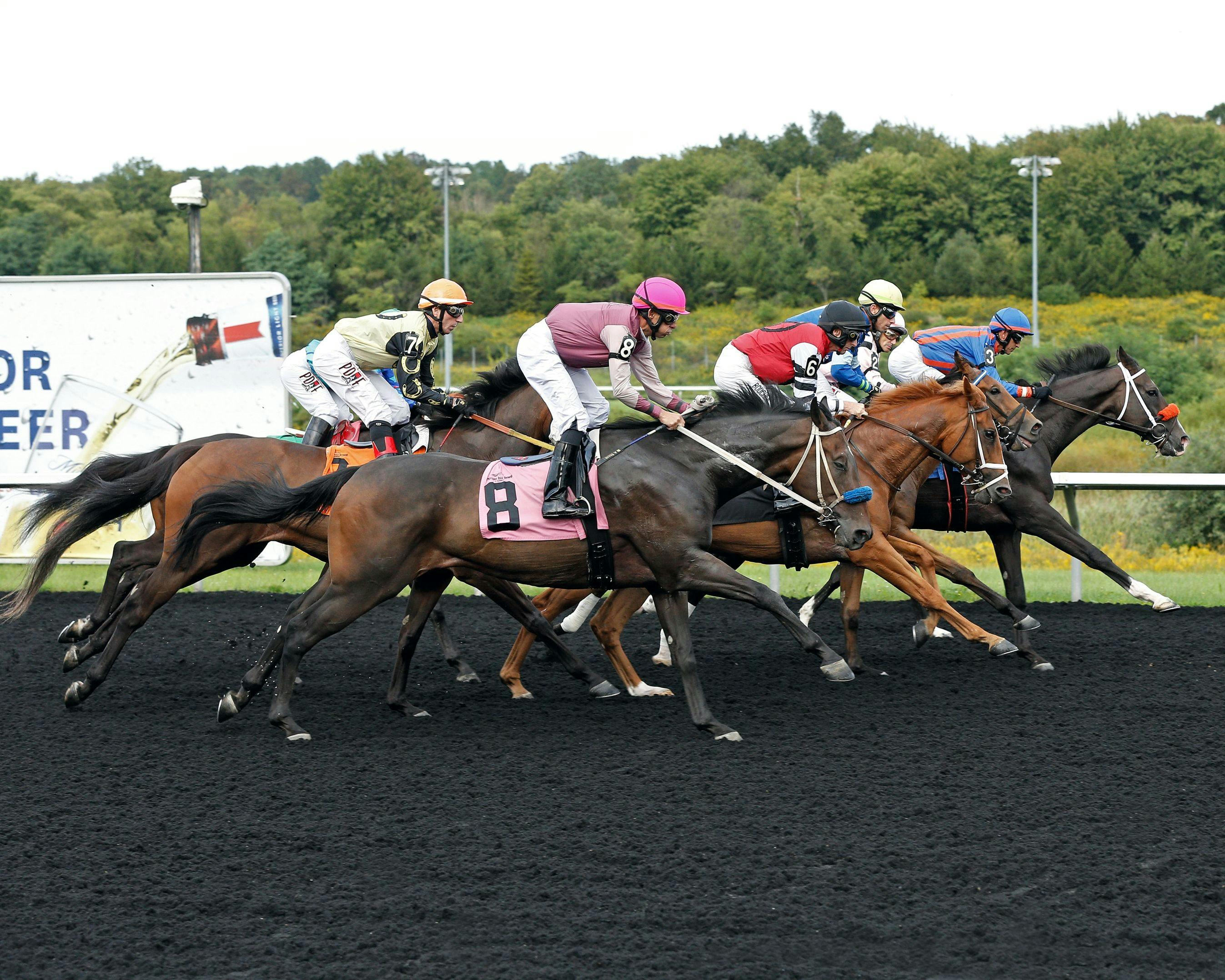 Presque Isle Downs Racing (Photo by Coady Media/Presque Isle Downs)