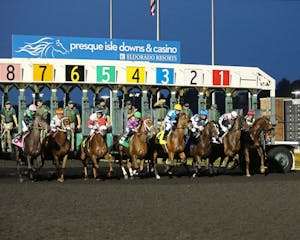 Presque Isle Downs starting gate