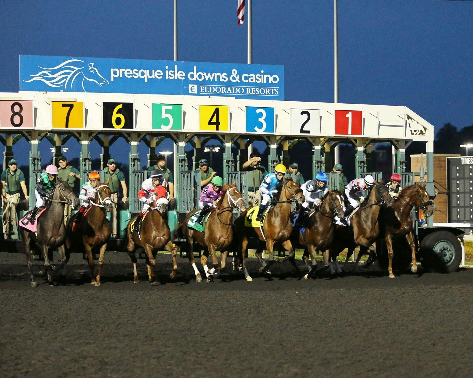 Presque Isle Downs starting gate (Photo by Coady Photography/Presque Isle Downs)