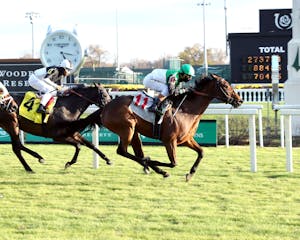 Proctor Street accelerated best in the Cardinal S.