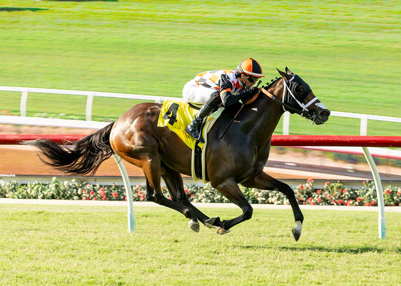 Proletariat equaled the stakes record when wiring the Oceanside H. 