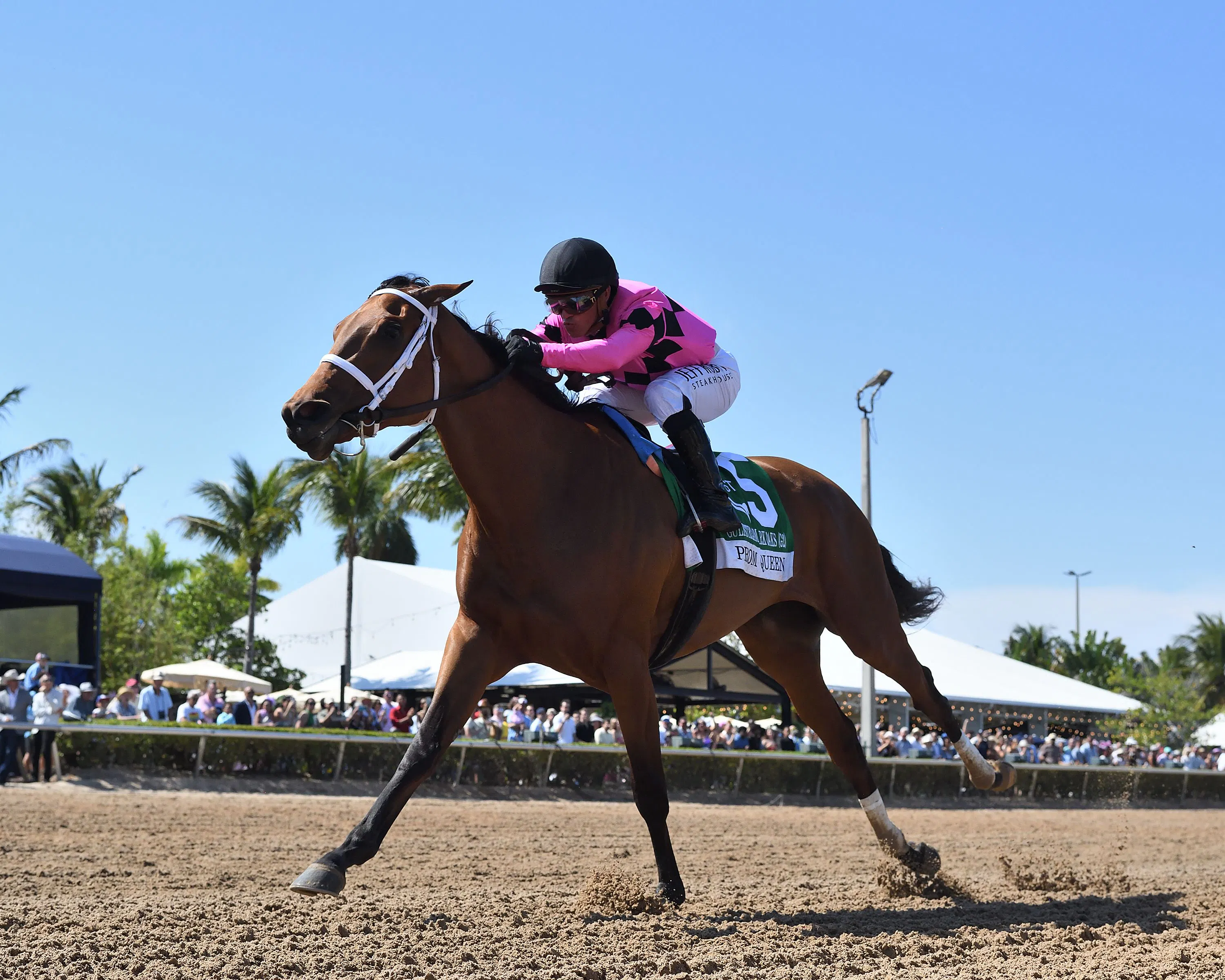 Prom Queen wins the Gulfstream Park Oaks at Gulfstream Park.