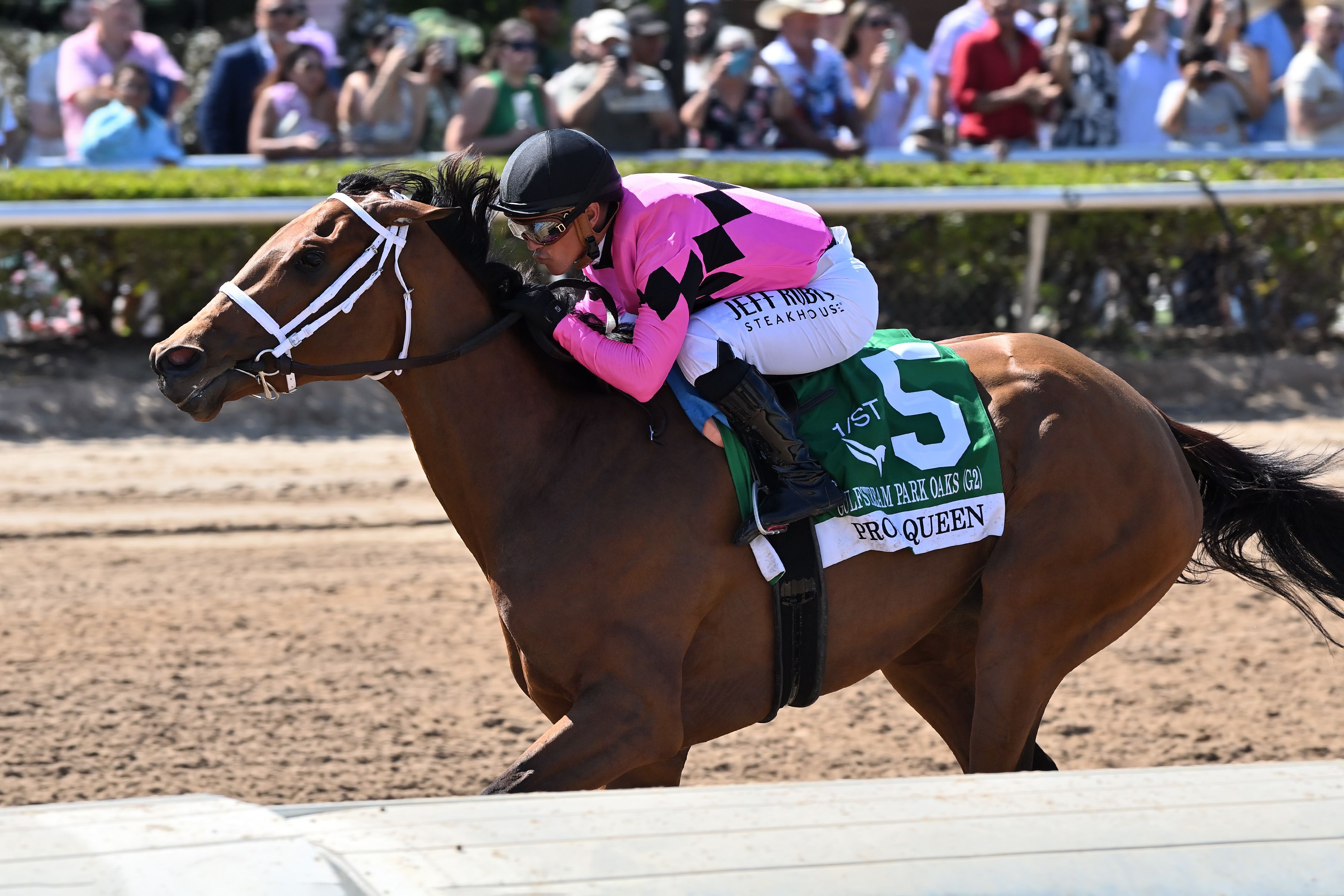 Prom Queen wins the Gulfstream Park Oaks at Gulfstream Park.