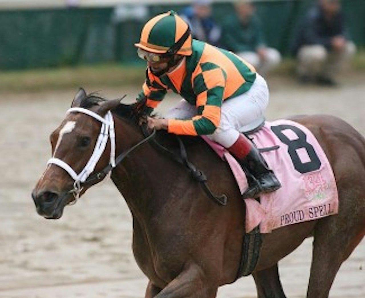 Proud Spell at Churchill Downs in 2008