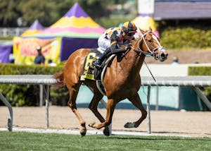 Queen Maxima wins at Santa Anita.