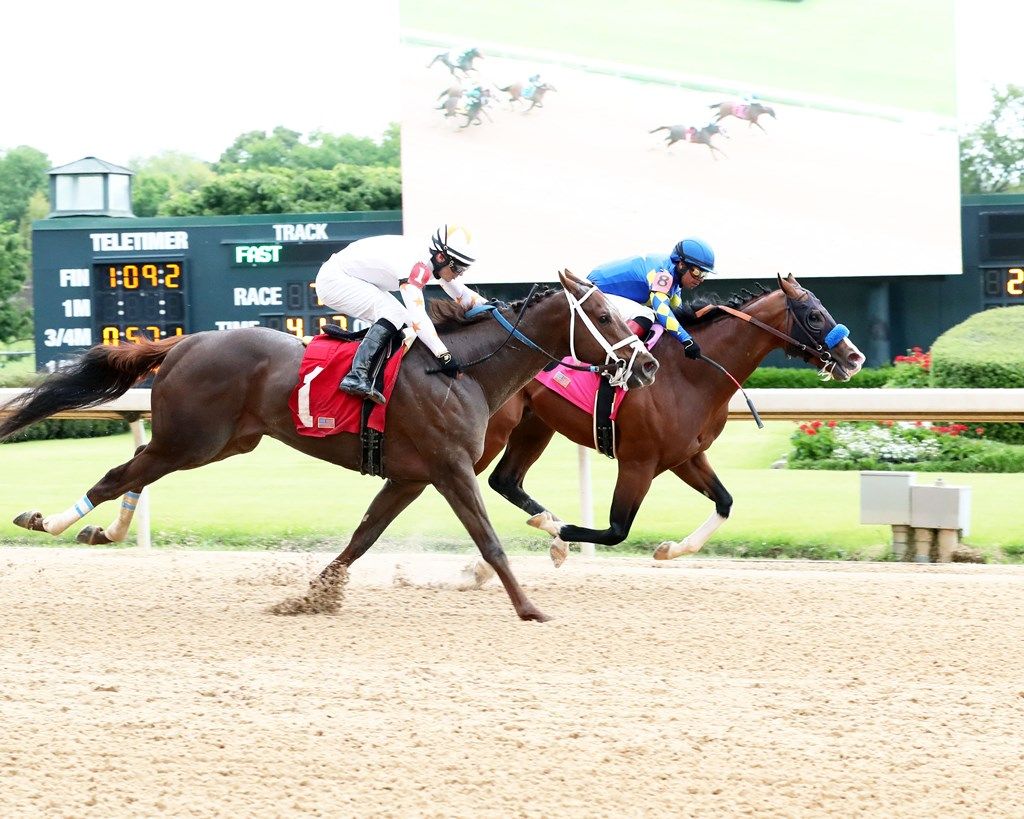 What Are Maiden Races, And How Do They Work? | TwinSpires