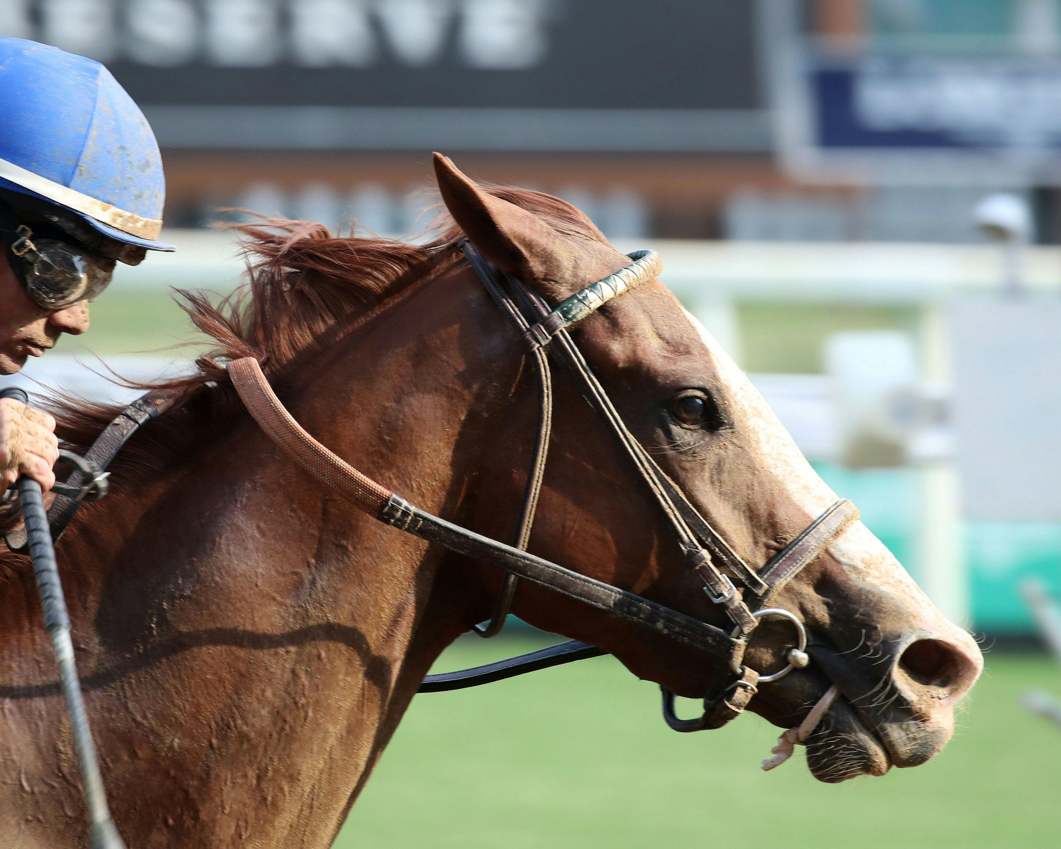 Ragtime wins the Dogwood S. (G3) at Churchill Downs. 