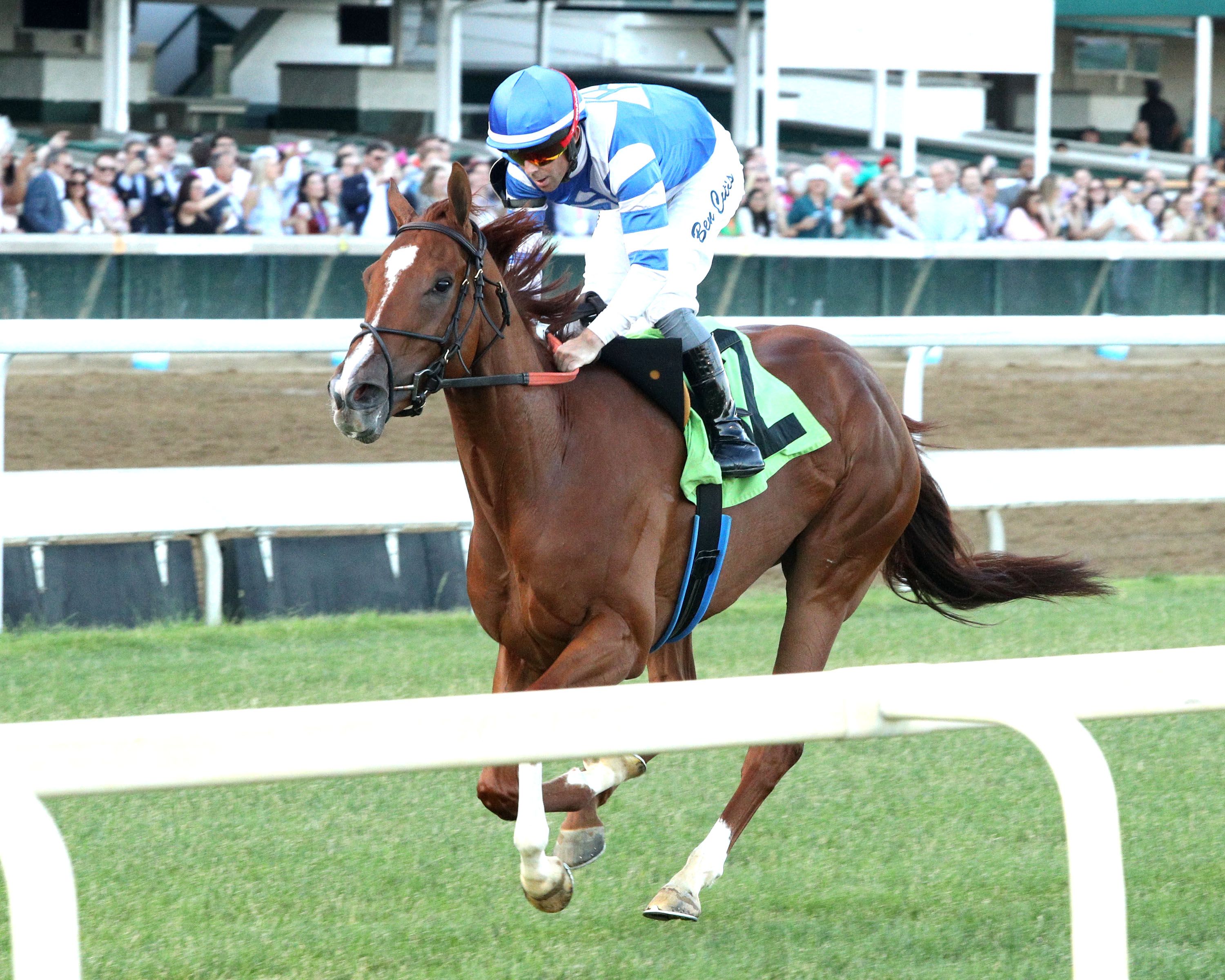 Raiding Party wins at Churchill Downs. 