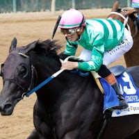 Royal Spa wins the Locust Grove (G2) at Churchill Downs.