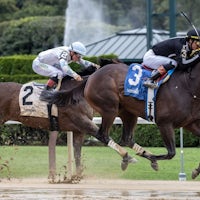 R Disaster wins at Saratoga.