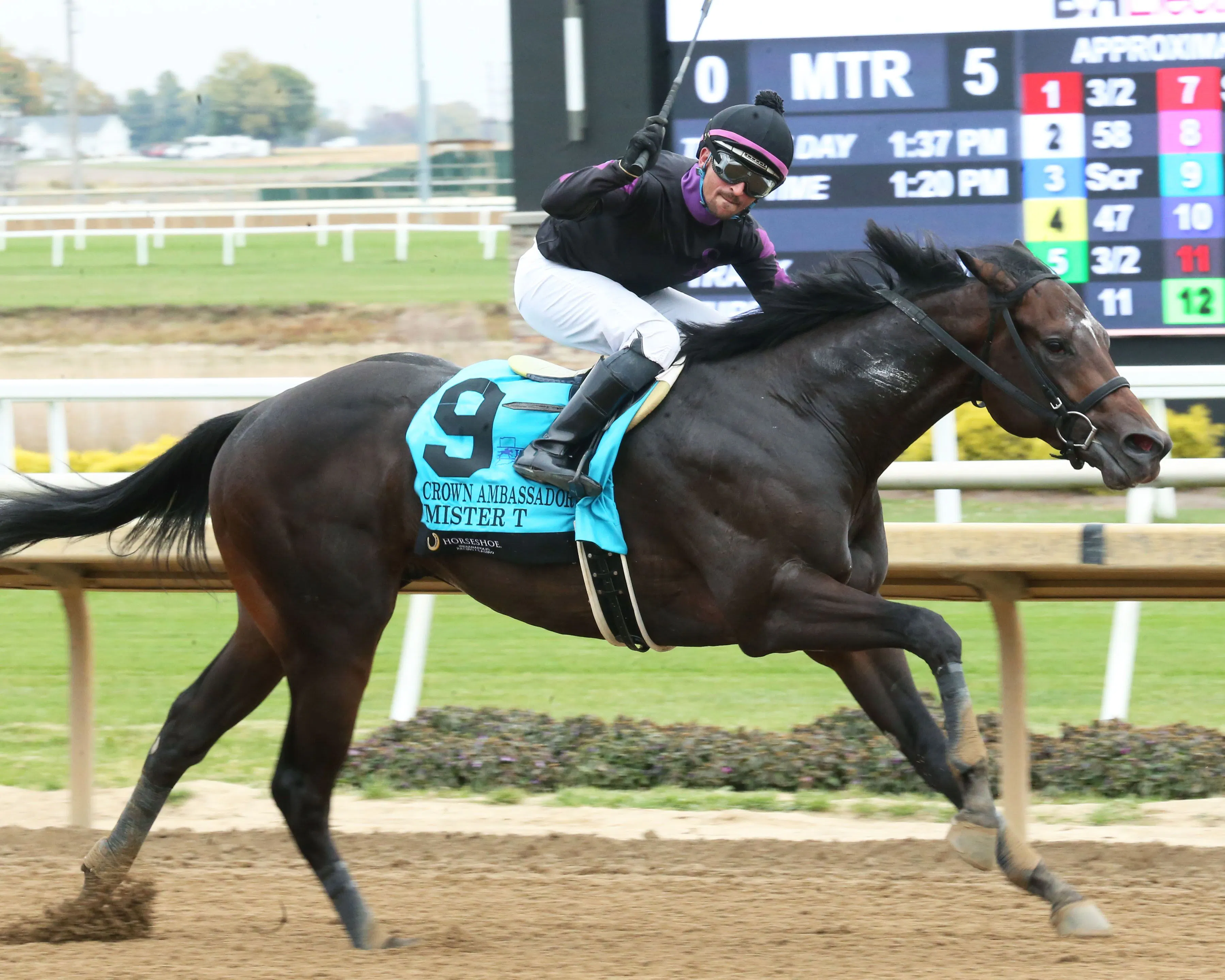 Mister T wins at Horseshoe Indianapolois. 