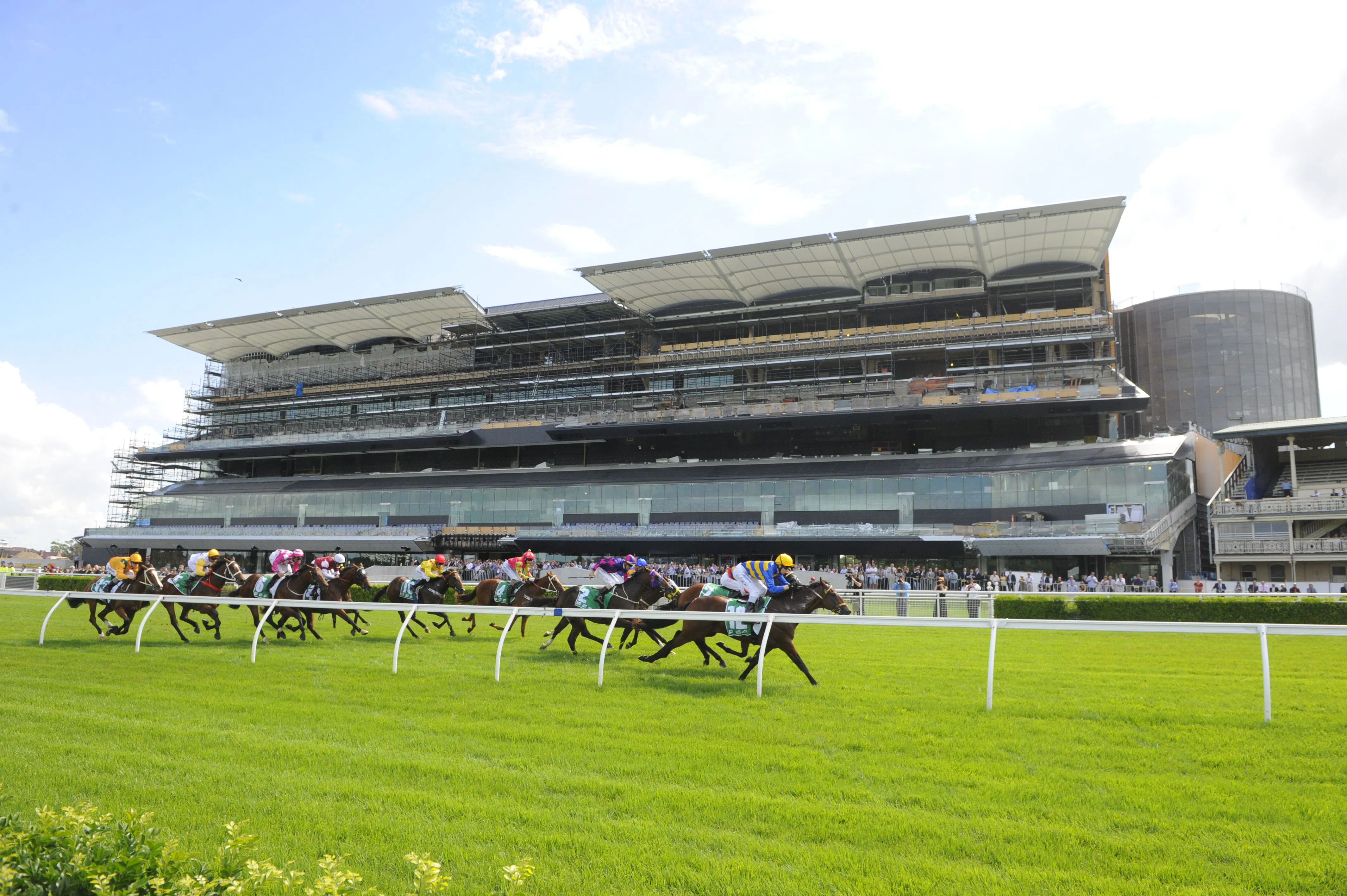 Meet the Contenders for The 2022 Everest | TwinSpires