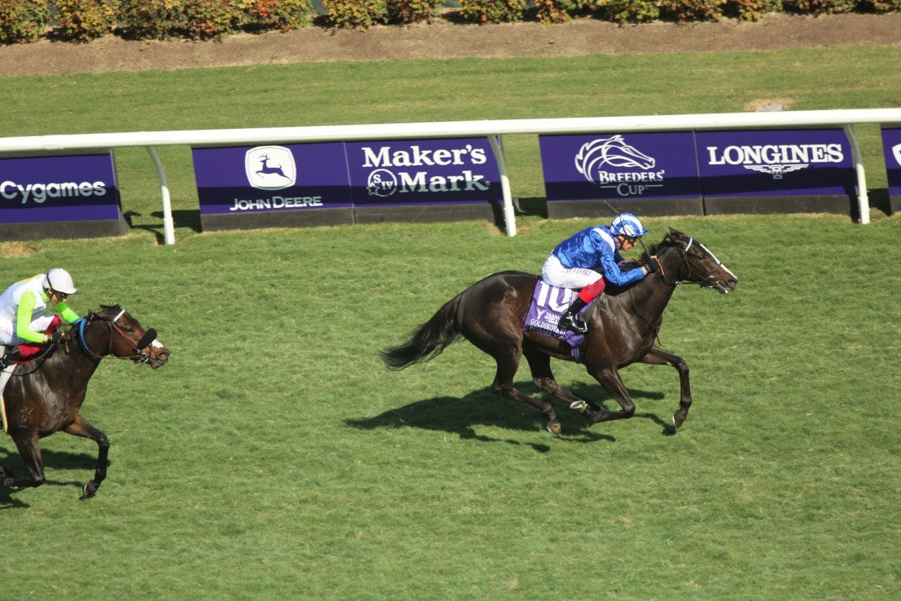 Raqiya wires the Goldikova in her U.S. debut