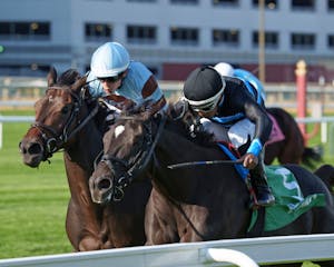 Ready for Candy holds off Fast Market in the Sands Point (G2)