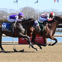 Reasoned Analysis breaking his maiden at Aqueduct (Photo by Coglianese Photos)