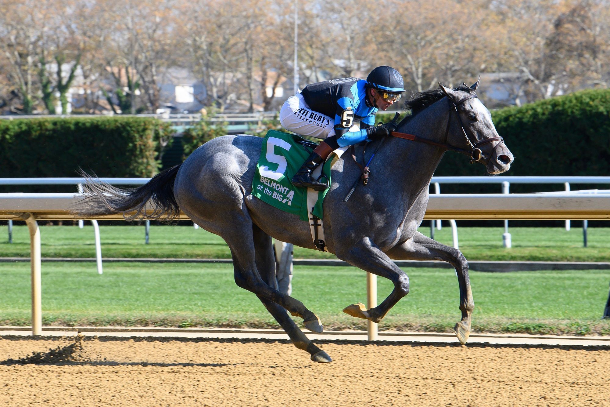 Rebel Instinct breaking his maiden at Aqueduct