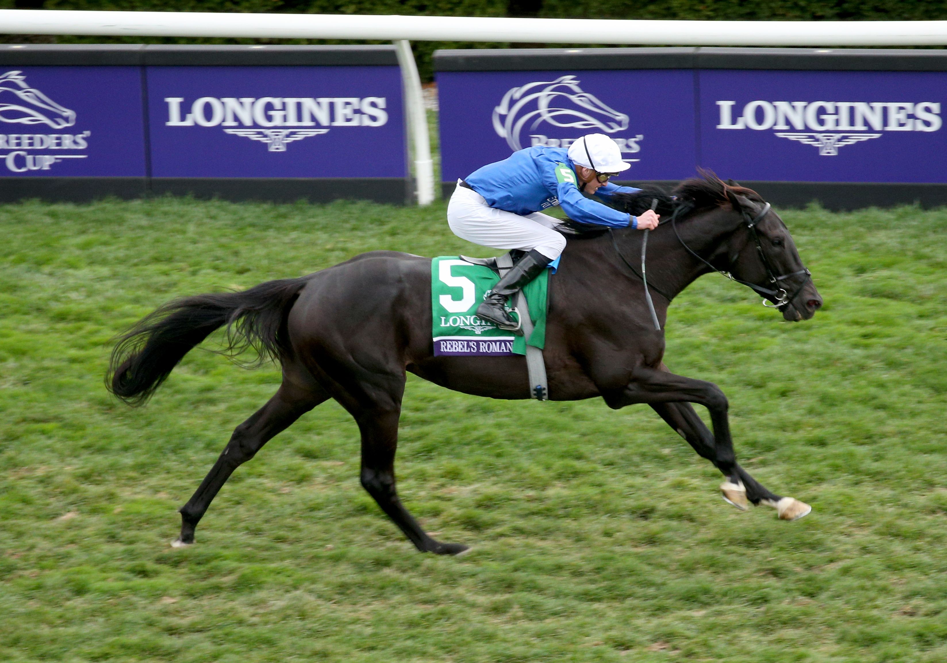 Rebel's Romance won his first Breeders' Cup Turf (G1) in 2022