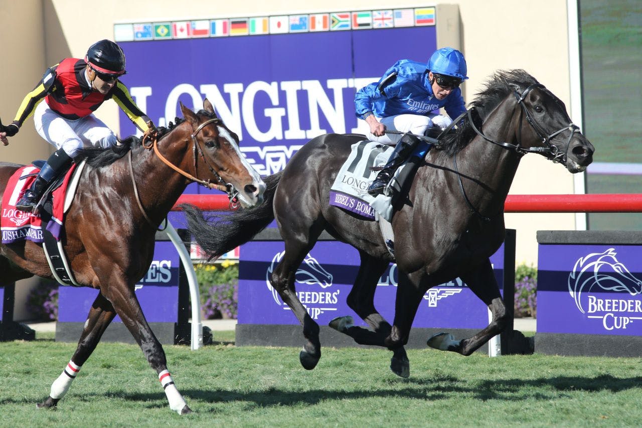 Rebel's Romance wins the Breeders' Cup Turf for the second time