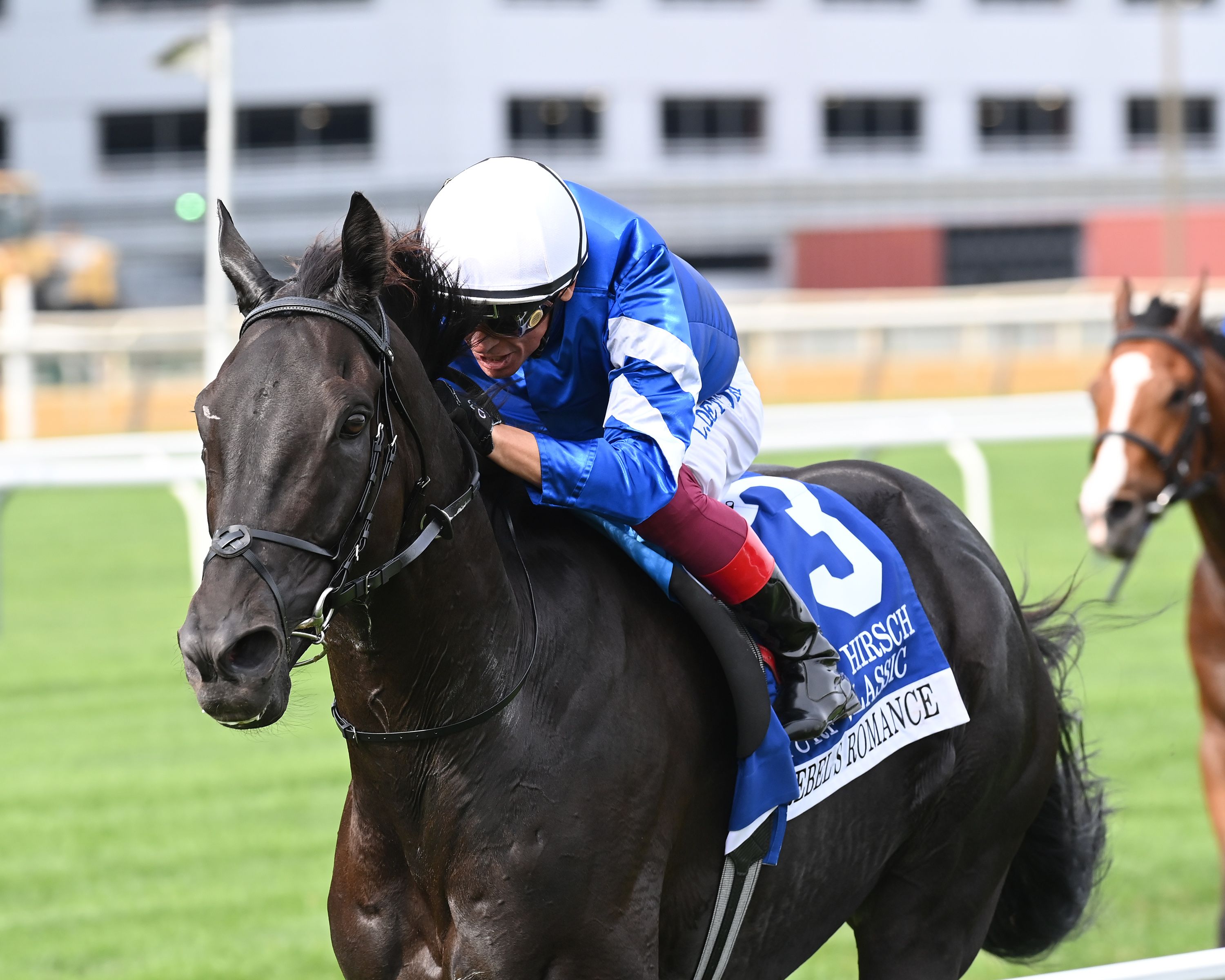 Rebel's Romance was much the best in the Joe Hirsch Turf Classic (G1)