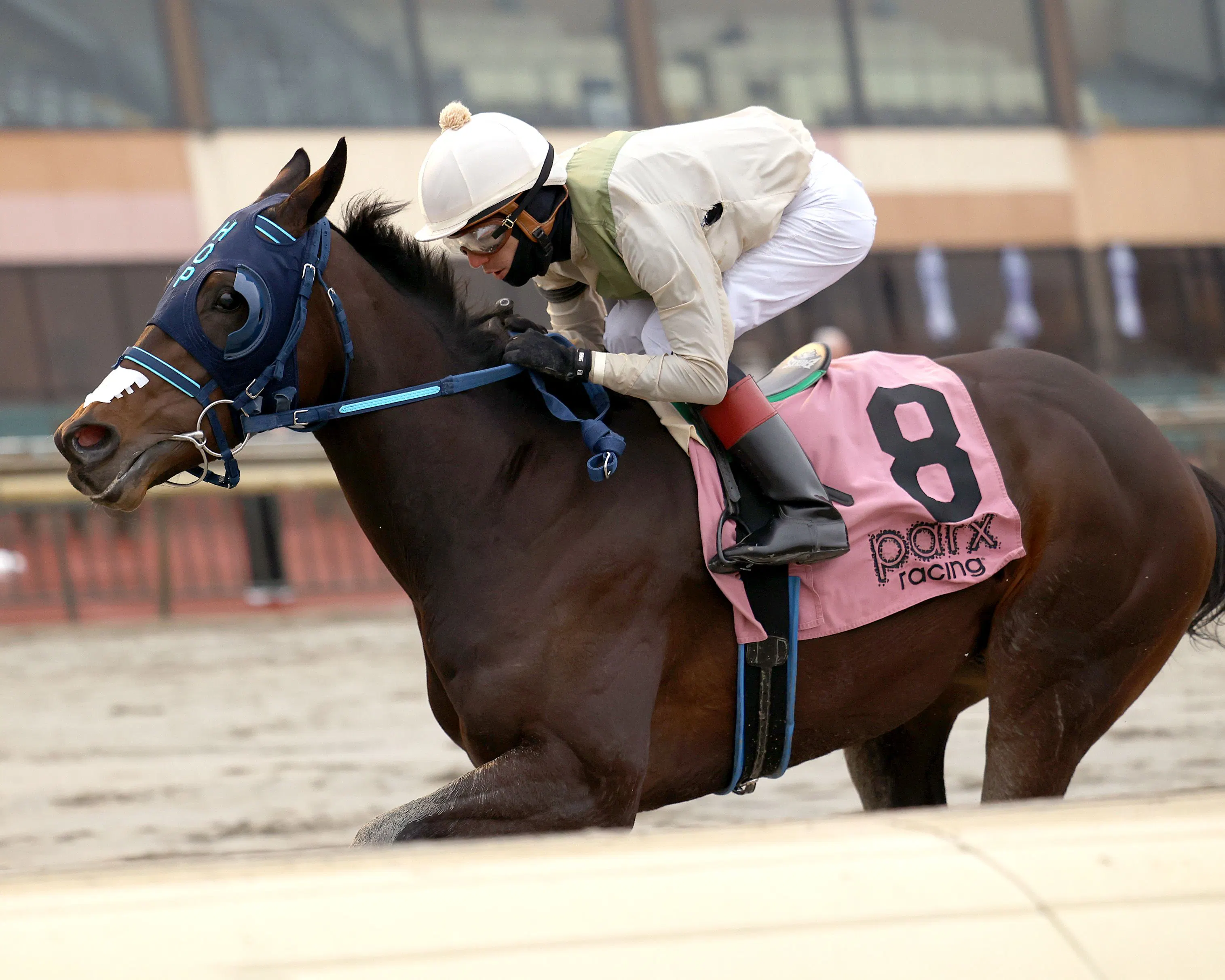 Red Zone Runner wins at Parx Racecourse.