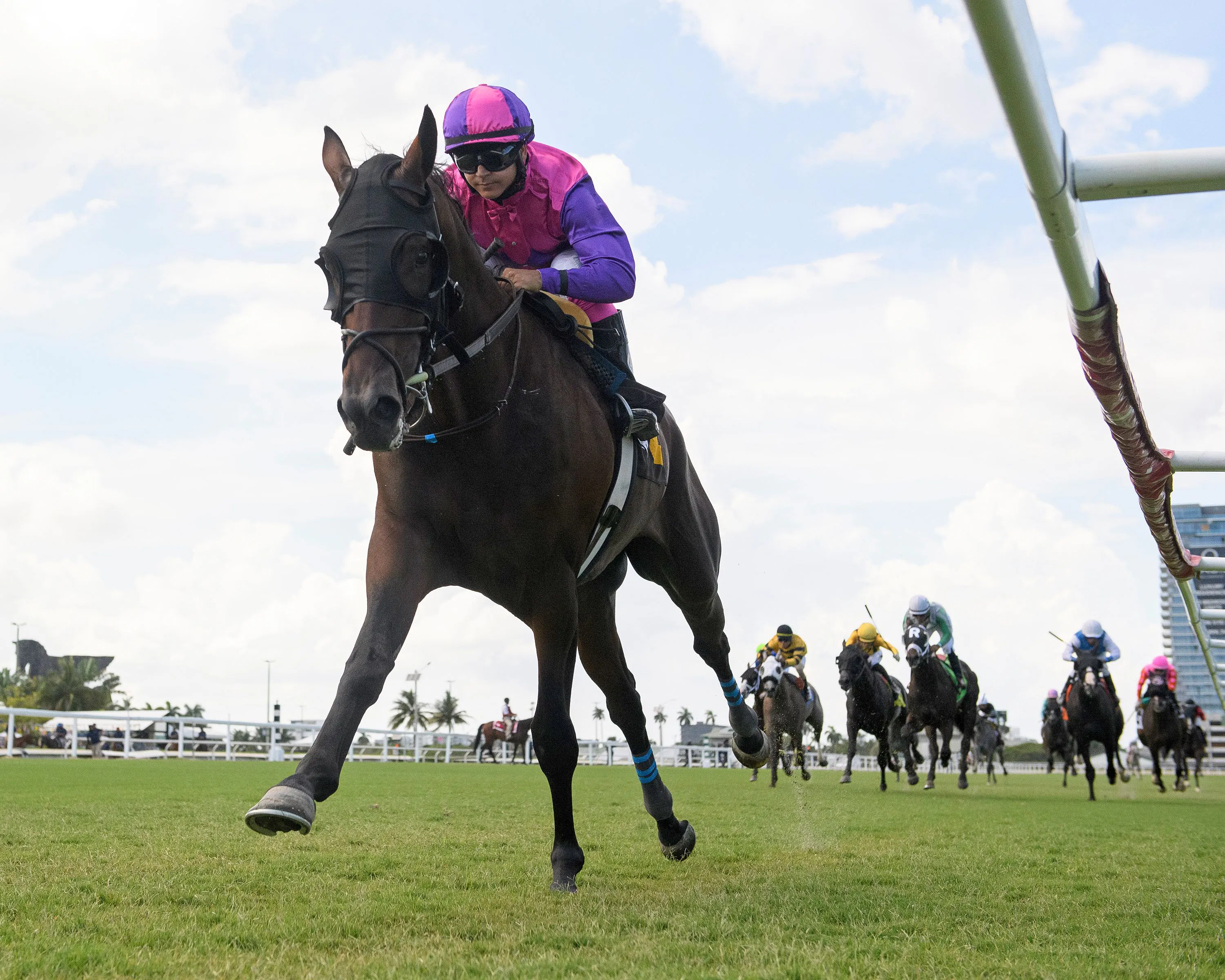Redland Rebels wins at Gulfstream Park.
