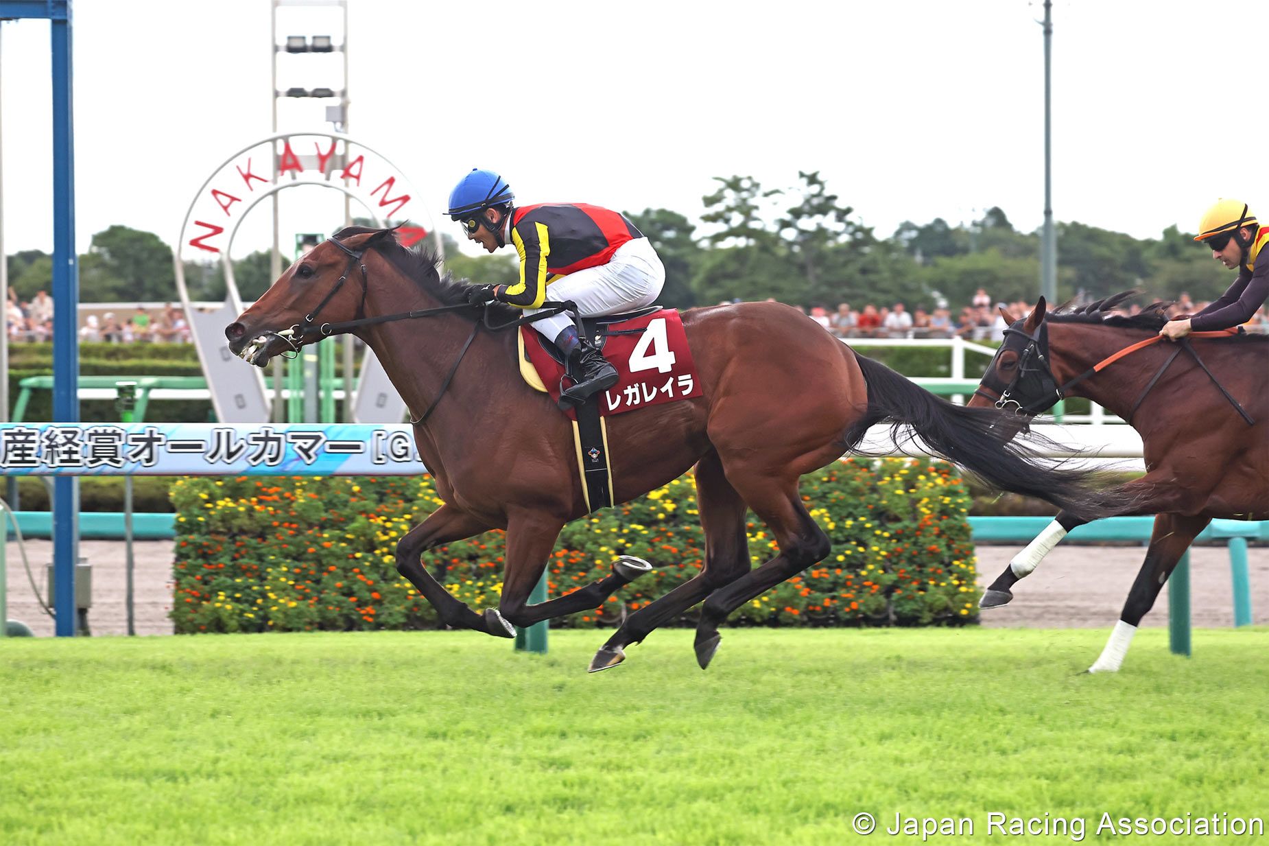 Regaleira beat her older half-brother, Douradores, in the Sankei Sho All Comers (G2)