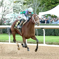 Renegade wins the Arkansas Derby at Oaklawn Park.