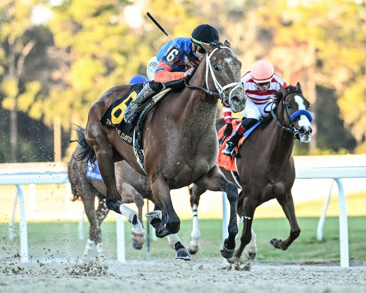 Renegade wins the Sam F. Davis Stakes at Tampa Bay Downs.