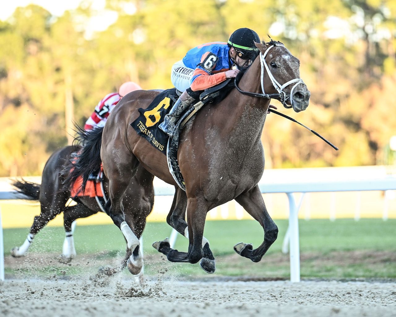 Renegade wins the Sam F. Davis Stakes at Tampa Bay Downs. 