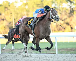Renegade wins the Sam F. Davis Stakes at Tampa Bay Downs. 