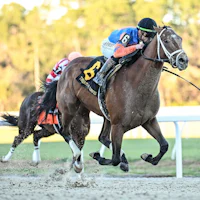 Renegade wins the Sam F. Davis Stakes at Tampa Bay Downs.