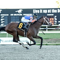 Renegade wins the Sam F. Davis Stakes at Tampa Bay Downs.