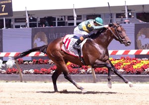 Retribution wins Chick Lang S. 2025 at Pimlico (Photo by MJC/Jim McCue)