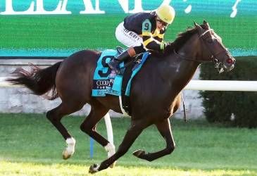 Rhetorical wins Coolmore Turf Mile at Keeneland 