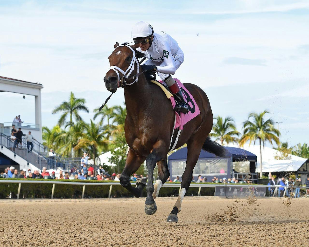 River Thames wins at Gulfstream.