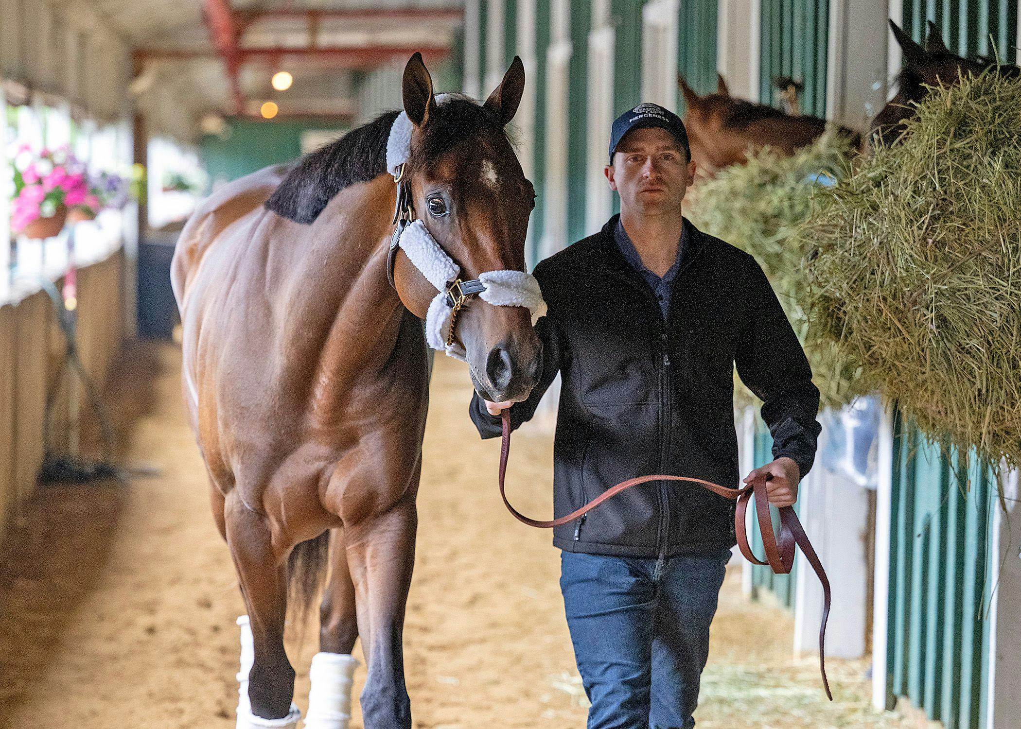 River Thames arrives at Pimlico ahead of Preakness 150 (Photo by MJC/Jerry Dzierwinski)