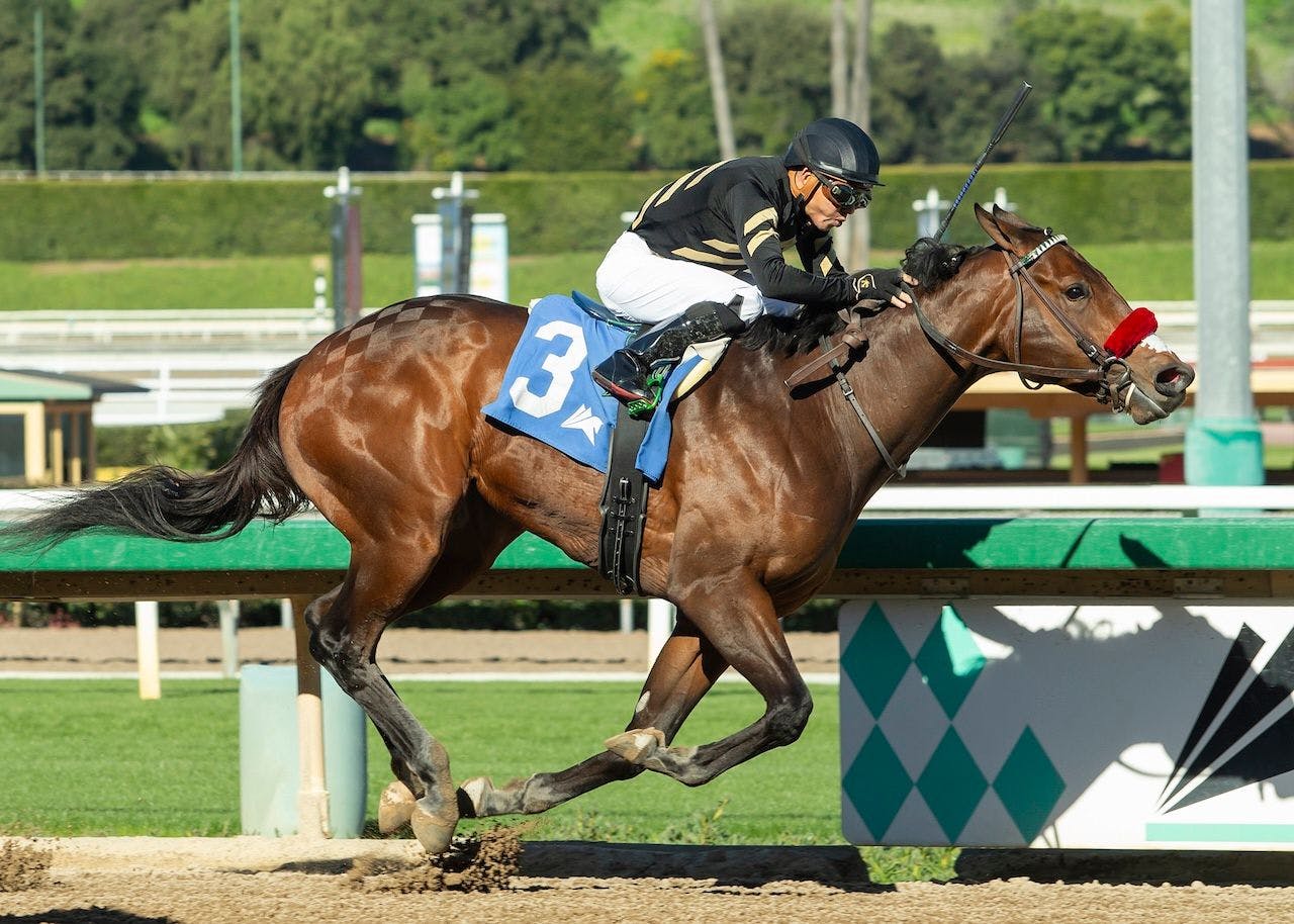 Robusta wins at Santa Anita.