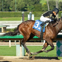 Robusta wins at Santa Anita.