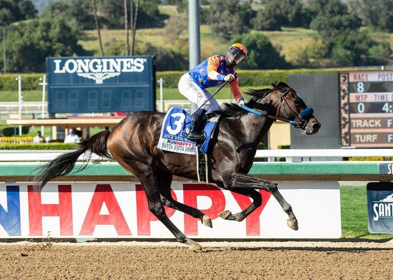 Kentucky Derby Pedigree Profile Rock Your World TwinSpires