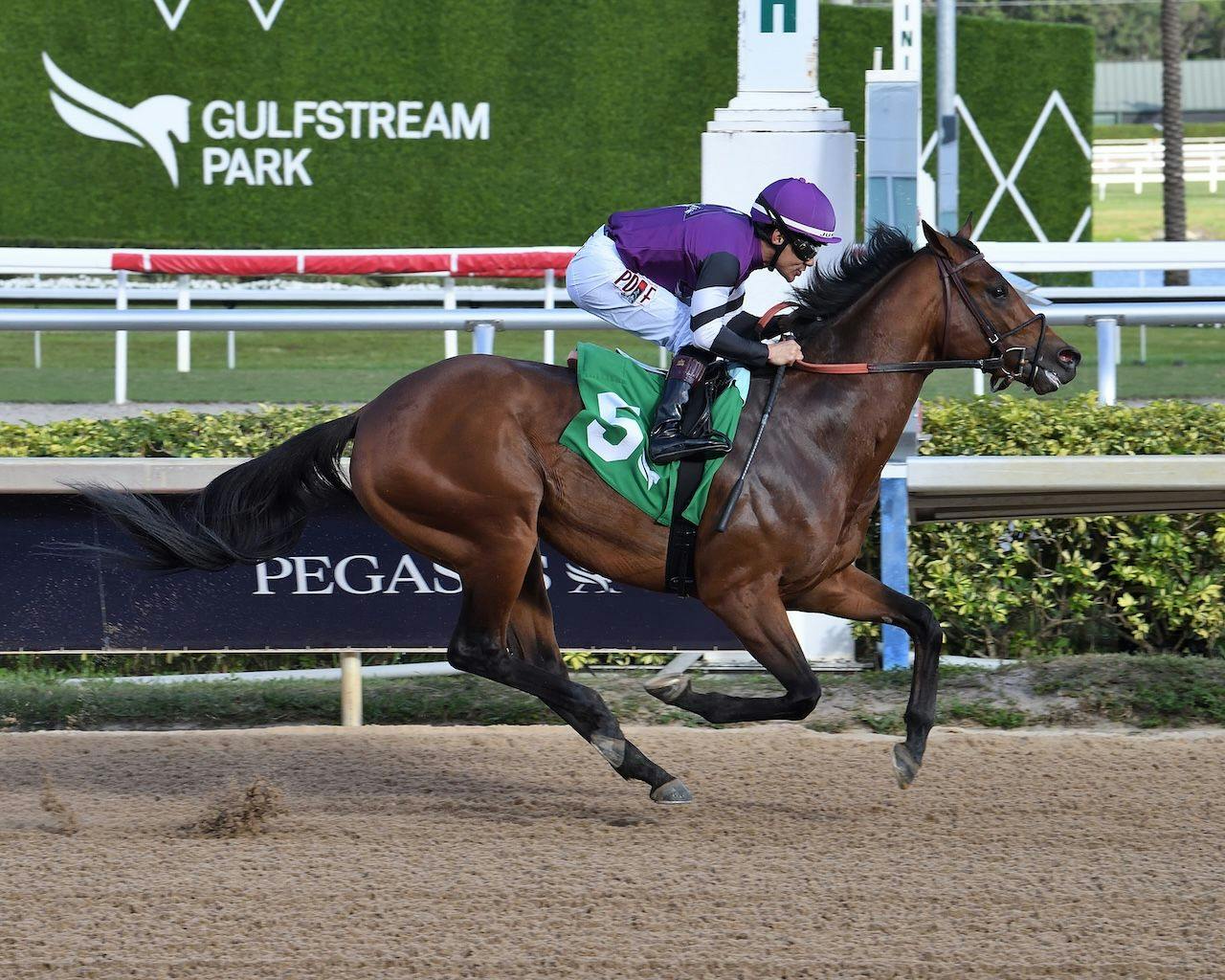 Rockies Balboa wins at Gulfstream Park. 