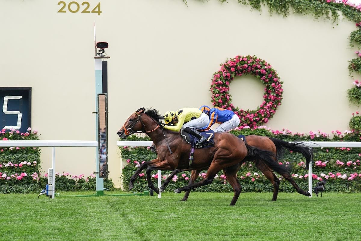 Rosallion wins St James's Palace at Royal Ascot