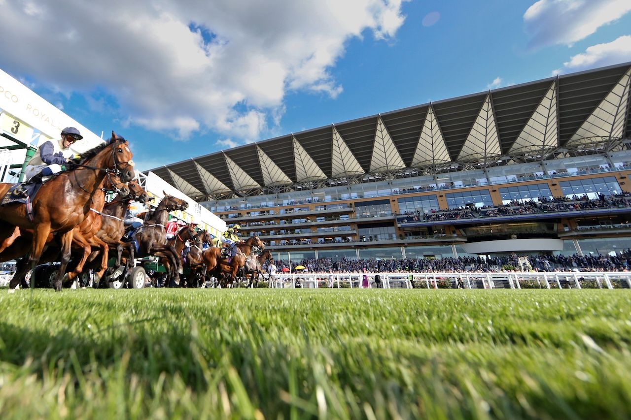 2025 Royal Ascot Scenic from day one of racing. 